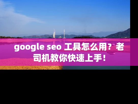 google seo 工具怎么用？老司机教你快速上手！