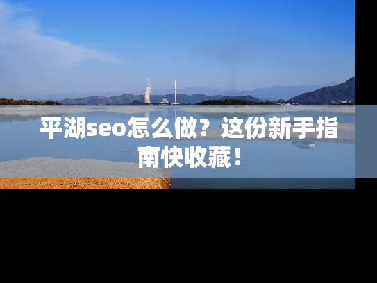 平湖seo怎么做？这份新手指南快收藏！