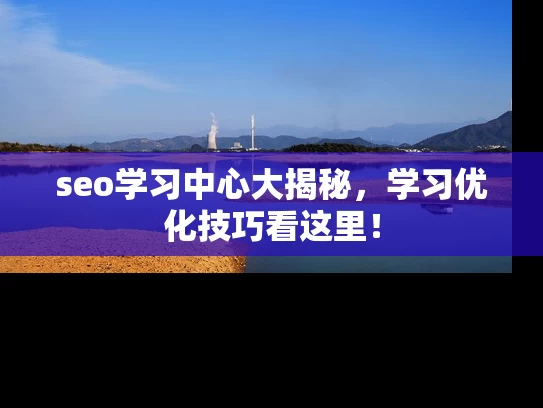 seo学习中心大揭秘，学习优化技巧看这里！