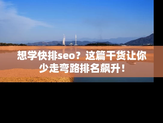 想学快排seo？这篇干货让你少走弯路排名飙升！