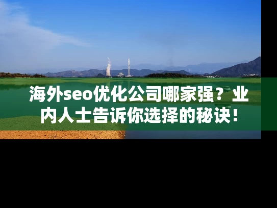 海外seo优化公司哪家强？业内人士告诉你选择的秘诀！