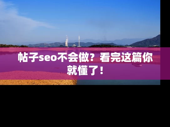 帖子seo不会做？看完这篇你就懂了！