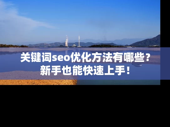 关键词seo优化方法有哪些？新手也能快速上手！