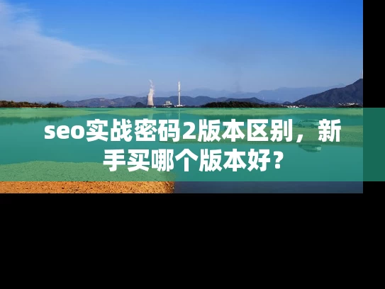 seo实战密码2版本区别，新手买哪个版本好？