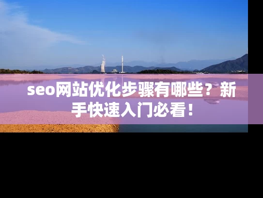 seo网站优化步骤有哪些？新手快速入门必看！