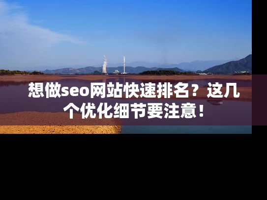 想做seo网站快速排名？这几个优化细节要注意！