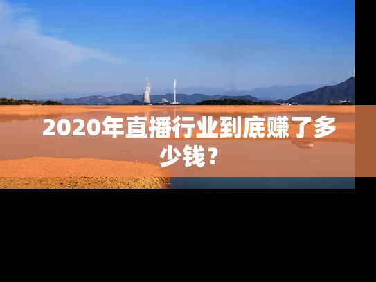 2020年直播行业到底赚了多少钱？
