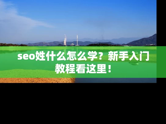 seo姓什么怎么学？新手入门教程看这里！