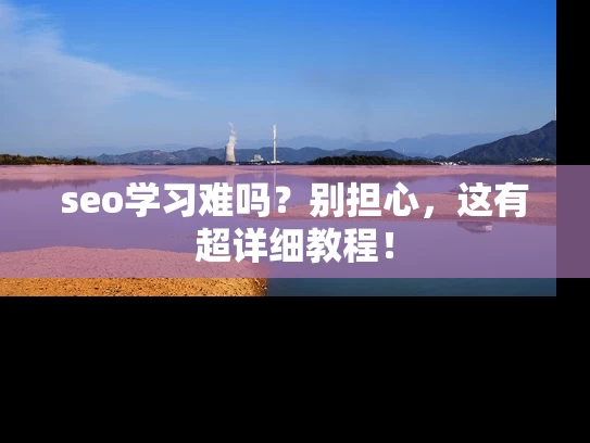 seo学习难吗？别担心，这有超详细教程！