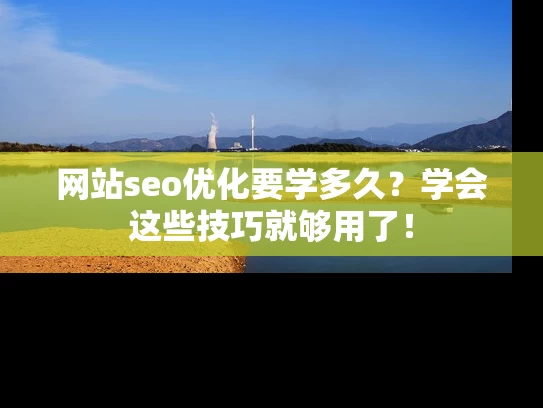 网站seo优化要学多久？学会这些技巧就够用了！