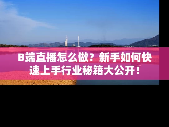 B端直播怎么做？新手如何快速上手行业秘籍大公开！