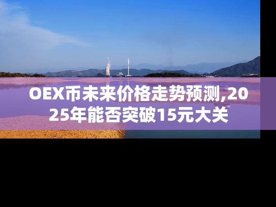OEX币未来价格走势预测,2025年能否突破15元大关
