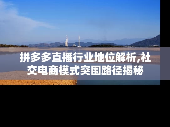 拼多多直播行业地位解析,社交电商模式突围路径揭秘