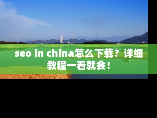 seo in china怎么下载？详细教程一看就会！