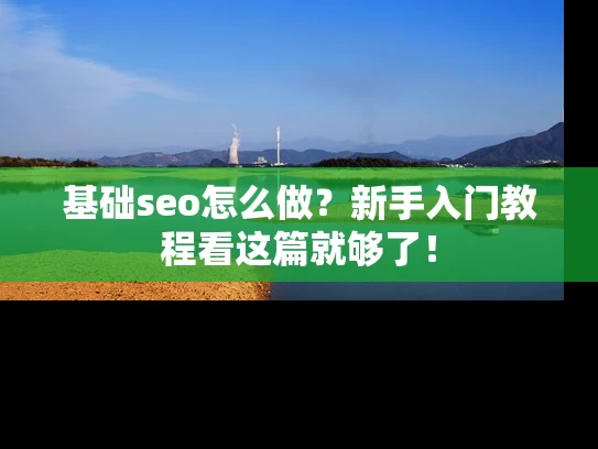 基础seo怎么做？新手入门教程看这篇就够了！
