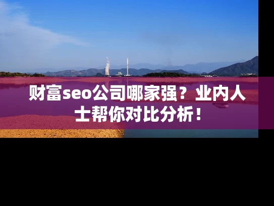 财富seo公司哪家强？业内人士帮你对比分析！