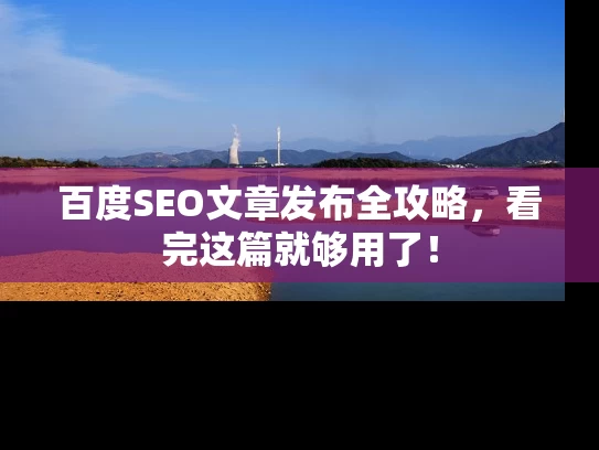 百度SEO文章发布全攻略，看完这篇就够用了！