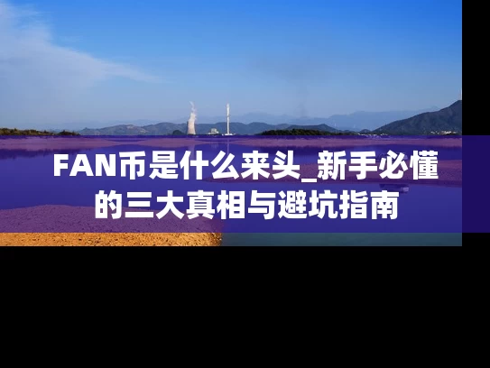 FAN币是什么来头_新手必懂的三大真相与避坑指南