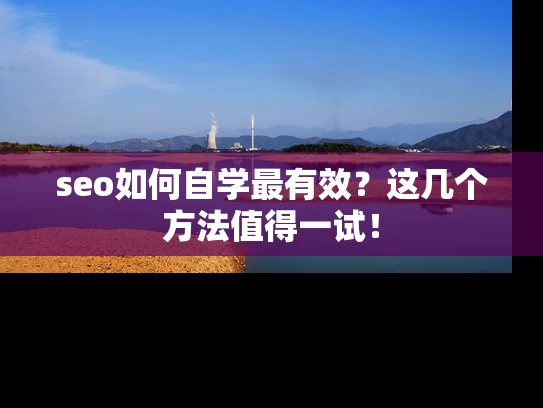 seo如何自学最有效？这几个方法值得一试！