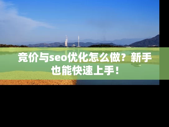 竞价与seo优化怎么做？新手也能快速上手！