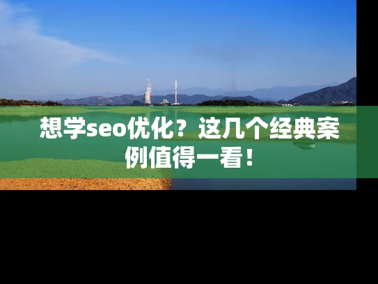 想学seo优化？这几个经典案例值得一看！