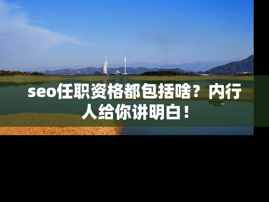 seo任职资格都包括啥？内行人给你讲明白！
