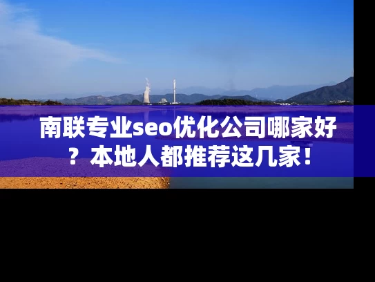 南联专业seo优化公司哪家好？本地人都推荐这几家！