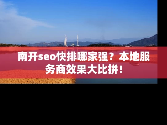 南开seo快排哪家强？本地服务商效果大比拼！
