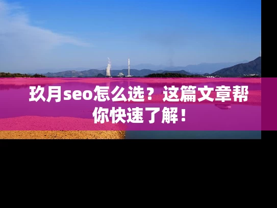 玖月seo怎么选？这篇文章帮你快速了解！