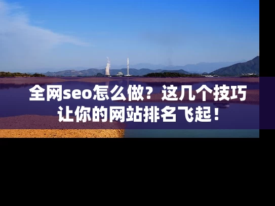 全网seo怎么做？这几个技巧让你的网站排名飞起！