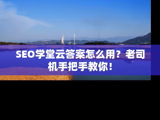 SEO学堂云答案怎么用？老司机手把手教你！