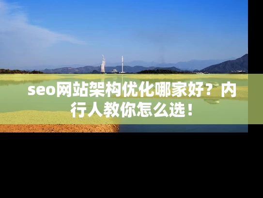 seo网站架构优化哪家好？内行人教你怎么选！