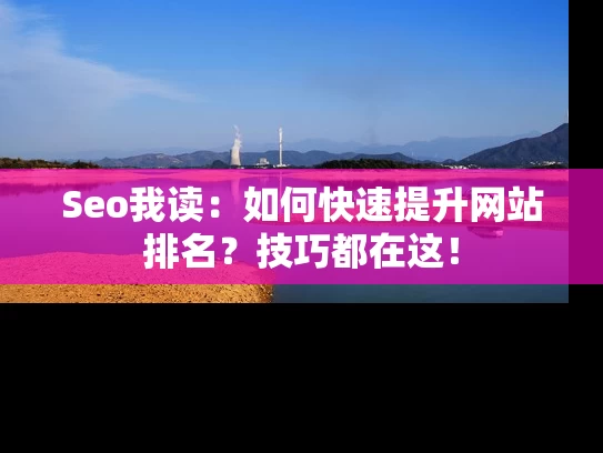 Seo我读：如何快速提升网站排名？技巧都在这！