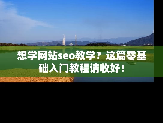 想学网站seo教学？这篇零基础入门教程请收好！