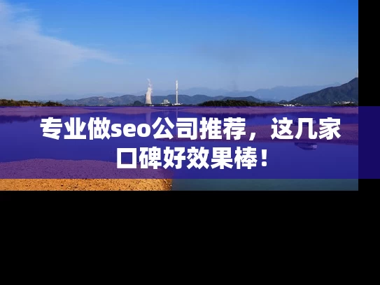 专业做seo公司推荐，这几家口碑好效果棒！