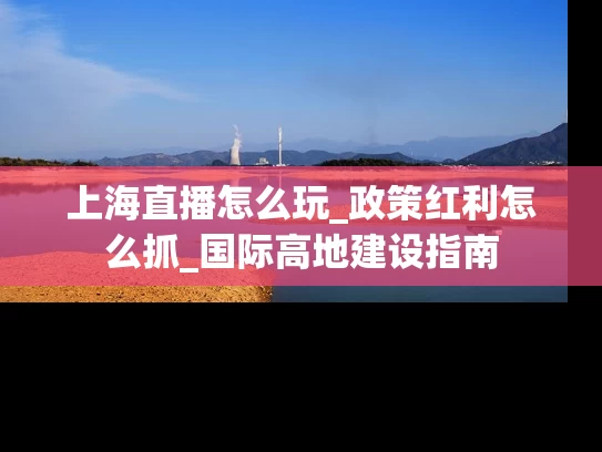 上海直播怎么玩_政策红利怎么抓_国际高地建设指南