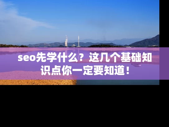 seo先学什么？这几个基础知识点你一定要知道！