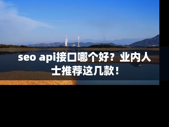 seo api接口哪个好？业内人士推荐这几款！