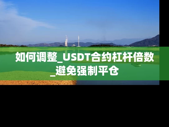 如何调整_USDT合约杠杆倍数_避免强制平仓