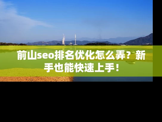 前山seo排名优化怎么弄？新手也能快速上手！