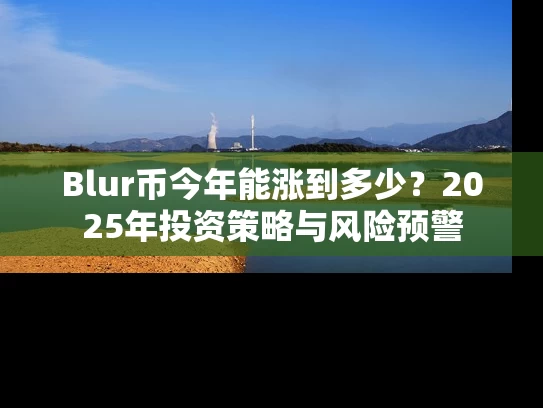 Blur币今年能涨到多少？2025年投资策略与风险预警