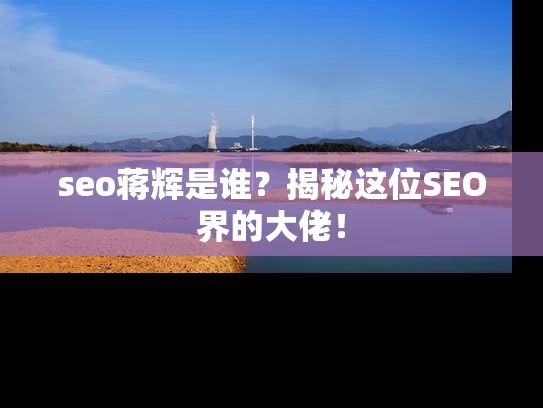 seo蒋辉是谁？揭秘这位SEO界的大佬！