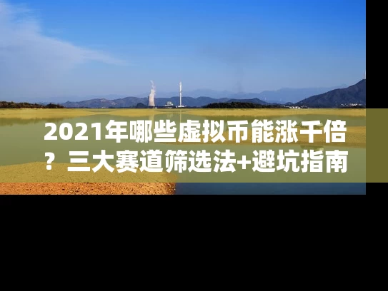 2021年哪些虚拟币能涨千倍？三大赛道筛选法+避坑指南