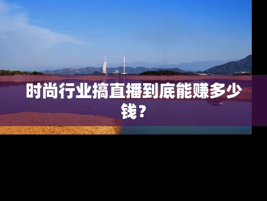 时尚行业搞直播到底能赚多少钱？