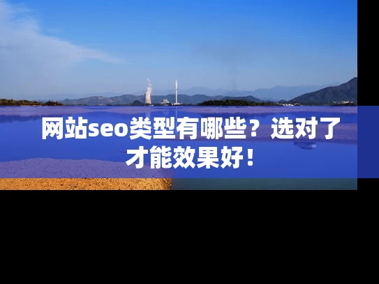 网站seo类型有哪些？选对了才能效果好！