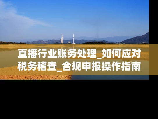 直播行业账务处理_如何应对税务稽查_合规申报操作指南