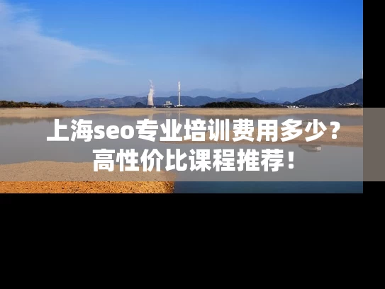上海seo专业培训费用多少？高性价比课程推荐！