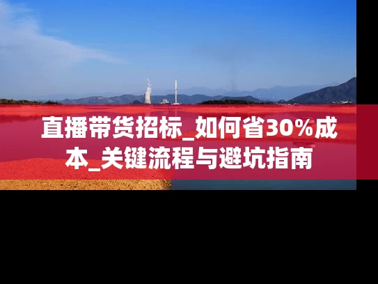 直播带货招标_如何省30%成本_关键流程与避坑指南