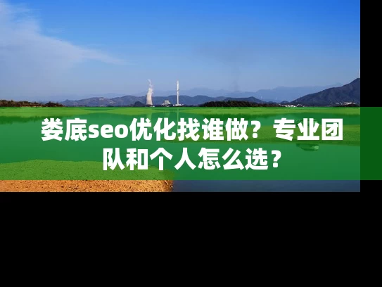 娄底seo优化找谁做？专业团队和个人怎么选？