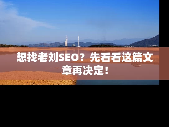 想找老刘SEO？先看看这篇文章再决定！
